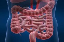 دکتر بنفشه شاه نظری متخصص و فوق تخصص غدد