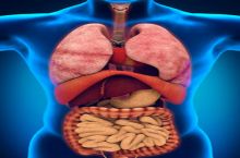  دکتر ایرج حیدری متخصص و فوق تخصص غدد