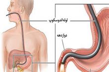  دکتر حمیدرضا بذرافشان متخصص و فوق تخصص غدد