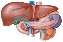 دکتر علی رضا هجرتی متخصص و فوق تخصص غدد