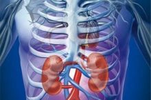 دکتر امیر مدیر متخصص اورولوژی، جراحی کلیه و مجاری ادراری