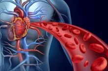 دکتر آرمان فاتحی فوق تخصص قلب و عروق