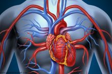 دکتر آرزو خسروی فوق تخصص قلب و عروق
